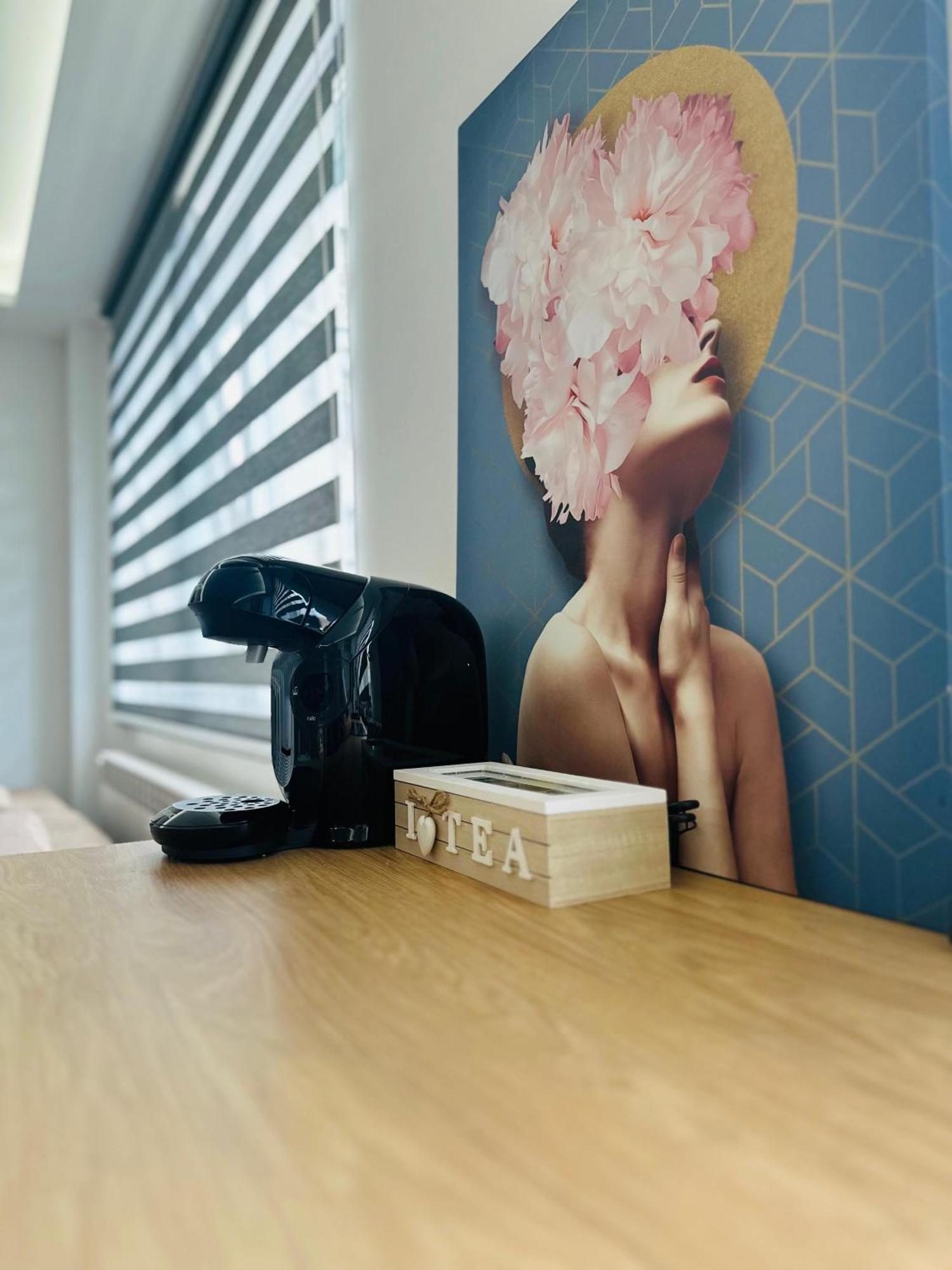 Amos Apartment-Ultracentral-Free Parking Cluj-Napoca Luaran gambar